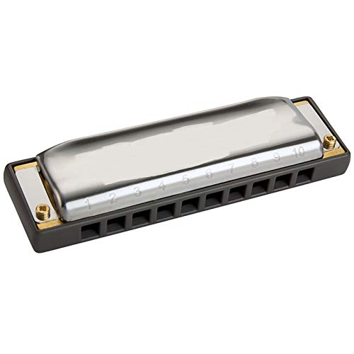 WAAZVXS Harmonica 10 Holes 20 Reeds Diatonic Harmonica Mouth Organ Instrumento Key C Musical Instruments Blues Harp (Color : Rocket AMP Key D)