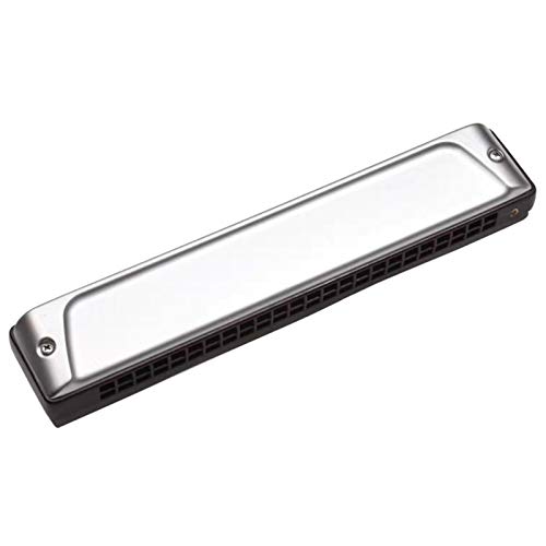 WAAZVXS Tremolo Harmonica Key of C 24 Holes Harp Phosphor Bronze Reeds ABS Comb Musical Instruments (Color : Key of Db)