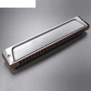 WAAZVXS Tremolo Harmonica Key of C 24 Holes Harp Phosphor Bronze Reeds ABS Comb Musical Instruments (Color : Key of Db)