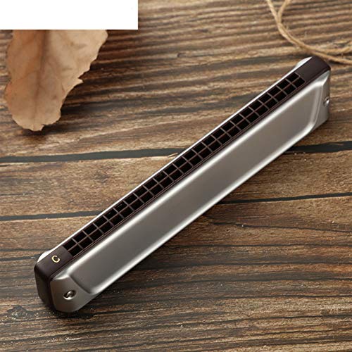 WAAZVXS Tremolo Harmonica Key of C 24 Holes Harp Phosphor Bronze Reeds ABS Comb Musical Instruments (Color : Key of Db)