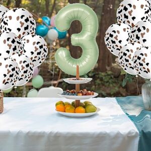 Number 3 Balloon 40 Inch Sage Green Number Balloon Foil Mylar Balloon for Boys Girls 3rd 30th Birthday Wedding Anniversary Jungle Party Decoration Supplies large Number Balloons