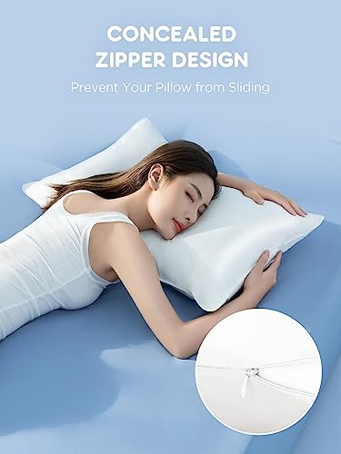 Mulberry Silk Pillowcase for Hair and Skin, SGMSILK 22 Momme Natural 6A Silk Pillow Case with Zipper Soft Texture, Single Sided Washable Pure Silk Pillow Cover(White, Standard 20"x26")