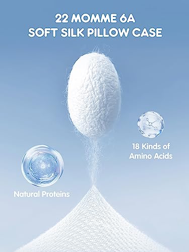 Mulberry Silk Pillowcase for Hair and Skin, SGMSILK 22 Momme Natural 6A Silk Pillow Case with Zipper Soft Texture, Single Sided Washable Pure Silk Pillow Cover(White, Standard 20"x26")