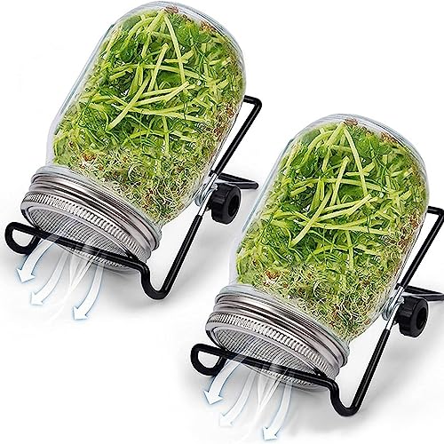 JISADER 2 Pieces Stainless Steel Jar Sprouting Stands Easy to Clean with 2 Sprouting Lids for Canning Jars, Sprouting Jar Kits for Alfalfa Beans