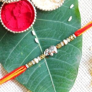 Elephant Rakhi for Brother Multicolor Beautiful & Fancy Designer Thread Raksha Bandhan Rakhi for Loving Brother Bhai RURAKH0011