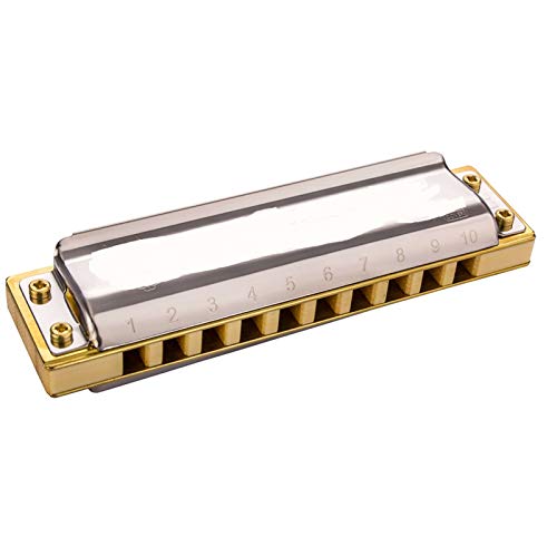 WAAZVXS Diatonic Harmonica 10 Hole 20 Tones Blues Harp Mouth Organ Instrumentos Diatonic Key of C Musical Instruments (Color : Key of Low G)