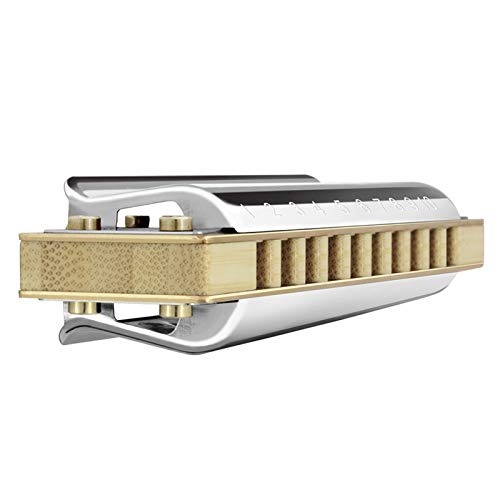 WAAZVXS Diatonic Harmonica 10 Hole 20 Tones Blues Harp Mouth Organ Instrumentos Diatonic Key of C Musical Instruments (Color : Key of Low G)