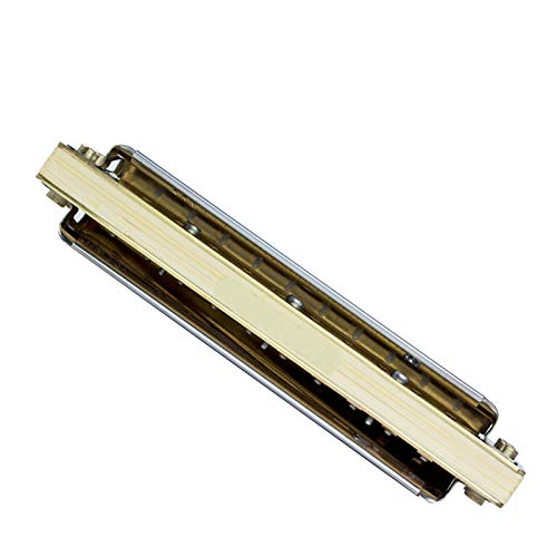 WAAZVXS Diatonic Harmonica 10 Hole 20 Tones Blues Harp Mouth Organ Instrumentos Diatonic Key of C Musical Instruments (Color : Key of Low G)