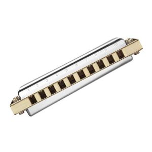 WAAZVXS Diatonic Harmonica 10 Hole 20 Tones Blues Harp Mouth Organ Instrumentos Diatonic Key of C Musical Instruments (Color : Key of Low G)