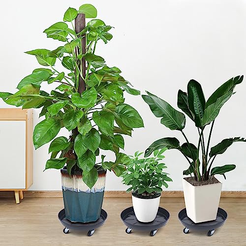 LYNICESHOP Plant Caddy with Wheels, 3Pack Plastic Plant Pallet Caddy Stand Planter Mover Flower Pot Dolly Caster Heavy Duty Plant Stand with Universal Wheels Round Pot Trolley for Indoor Outdoor