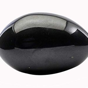 Shaligram for Pooja Lakshmi-Narayan Shila Gandaki River Chakra Saligram Black Pack of 1