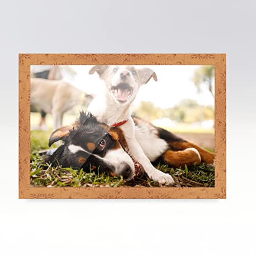 34x19 Frame Beige Real Wood Picture Frame Width 1.25 Inches | Interior Frame Depth 0.5 Inches | Mastic Distressed Photo Frame Complete with UV Acrylic, Foam Board Backing & Hanging Hardware