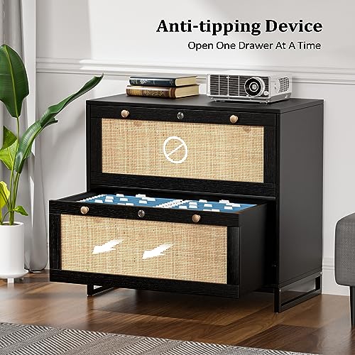 VINGLI Black Rattan 2 Drawer Lateral File Cabinet with Lock, Wood Locking File Cabinets for Home Office, File Cabinet Printer Stand for Hanging Letter/Legal Size Labeled Folders, Oak, 30W x 16D x 28H