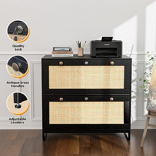 VINGLI Black Rattan 2 Drawer Lateral File Cabinet with Lock, Wood Locking File Cabinets for Home Office, File Cabinet Printer Stand for Hanging Letter/Legal Size Labeled Folders, Oak, 30W x 16D x 28H