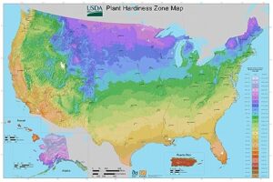 united states plant hardiness zone map poster print - photo poster art print - 24 x 36 in