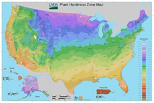 United States Plant Hardiness Zone Map Poster Print - Photo Poster Art Print - 24 x 36 in