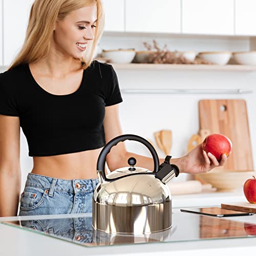 YSSOA Stainless Steel Whistling Tea Kettle, 3.17 Quart, Teapot for Stove top with Wide Mouth, Easy Pouring Spout and Ergonomic Handle, Silver