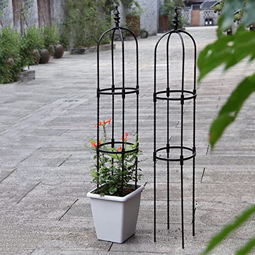 Trellis for Climbing Plants - Rustproof Plant Trellis Climbing Plant Support - Tomato Plant Trellis for Climbing Support Rose, Vegetable, Vines, Ivy, Jasmine Buogint