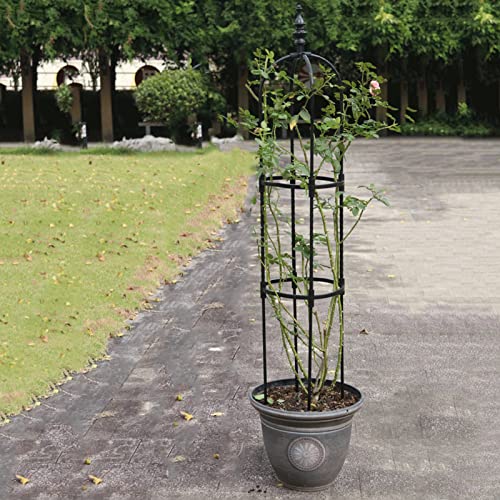 Trellis for Climbing Plants - Rustproof Plant Trellis Climbing Plant Support - Tomato Plant Trellis for Climbing Support Rose, Vegetable, Vines, Ivy, Jasmine Buogint