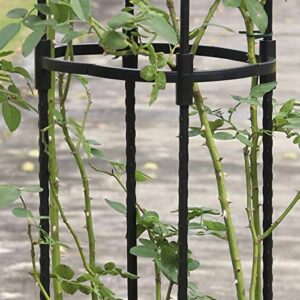 Trellis for Climbing Plants - Rustproof Plant Trellis Climbing Plant Support - Tomato Plant Trellis for Climbing Support Rose, Vegetable, Vines, Ivy, Jasmine Buogint