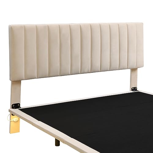 DNYN Upholstered Queen Size Floating Bed Frame with LED Lights & Headboard Design,Modern Velvet Fabric Platform Bedframe for Bedroom,Guest Room,Noise Free & Easy Assembly, Beige