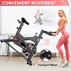 LABODI Stationary Cycling Bike, Indoor Exercise Bike with LCD Monitor, 35LBS Heavy Flywheel & Comfortable Seat, Perfect Cycle Bike for Home Gym Workout (Black Red)