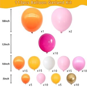 Pink and Orange Balloon Arch Kit, 115 PCS Pink Orange Balloon Arch Pastel Pink Orange Metallic Gold Party Balloons For Baby Shower Birthday Wedding Rainbow Encanto Party Decorations