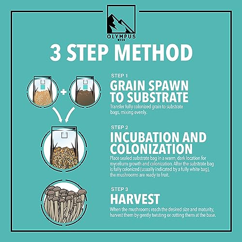 Olympus Myco Mushroom Grow Kit | Sterilized Grain (3 lbs) and Pasteurized Substrate (5 lbs) Combo for Mushroom Cultivation