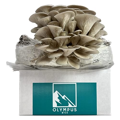 Olympus Myco Mushroom Grow Kit | Sterilized Grain (3 lbs) and Pasteurized Substrate (5 lbs) Combo for Mushroom Cultivation