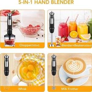 Handheld Blender, Immersion Electric Mixer, 5-in-1 Hand Blender, 800W Powerful Copper Motor, 12 Speed Turbo Mode, 20oz Beaker, 17oz Food Chopper for Smoothies, Whisk for Home Kitchen