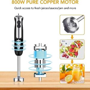 Handheld Blender, Immersion Electric Mixer, 5-in-1 Hand Blender, 800W Powerful Copper Motor, 12 Speed Turbo Mode, 20oz Beaker, 17oz Food Chopper for Smoothies, Whisk for Home Kitchen