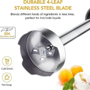 Handheld Blender, Immersion Electric Mixer, 5-in-1 Hand Blender, 800W Powerful Copper Motor, 12 Speed Turbo Mode, 20oz Beaker, 17oz Food Chopper for Smoothies, Whisk for Home Kitchen