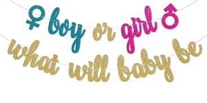 pre-strung boy or girl what will baby be banner, gold blue pink glitter gender reveal decorations, he or she, blue or pink, boy or girl we love you banner, baby shower gender reveal party supplies