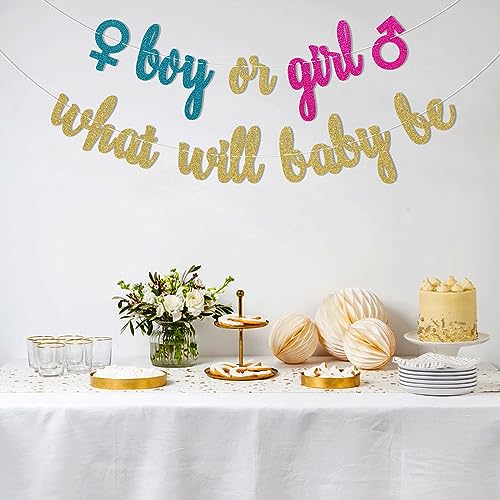 Pre-Strung Boy or Girl What Will Baby Be Banner, Gold Blue Pink Glitter ...