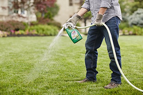 Ortho Nutsedge Killer for Lawns Ready-to-Spray, 32 fl. oz. (Pack of 2)