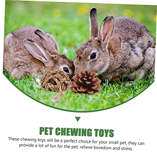 iplusmile 3 Sets Chinchilla Cage Accessories Small Animal Toys Birds Toys Wooden Bunny Toy Pet Bunny Tooth Rabbit Wood Chew Toys Biting Small Toys Rabbit Chew Toy Guinea Pig Molar Toy Sports