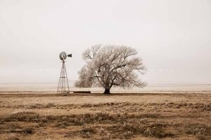 country photography print (not framed) sepia picture of old windmill and tree covered in frost on winter day in new mexico western wall art farmhouse decor (30" x 40")