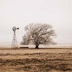 Country Photography Print (Not Framed) Sepia Picture of Old Windmill and Tree Covered in Frost on Winter Day in New Mexico Western Wall Art Farmhouse Decor (30" x 40")