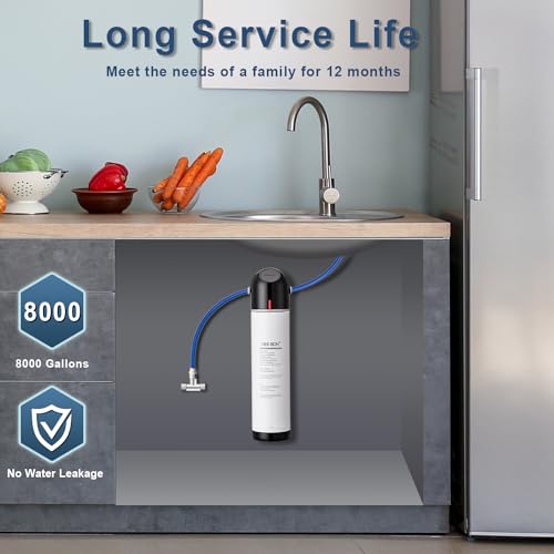 GEE BON Under Sink Water Filtration System, GB-M1S Direct Connect Under Sink Water Filter, 0.5 Micron Reduces 99% Lead, Chlorine, Bad Taste, Odor, 8000 Gallon