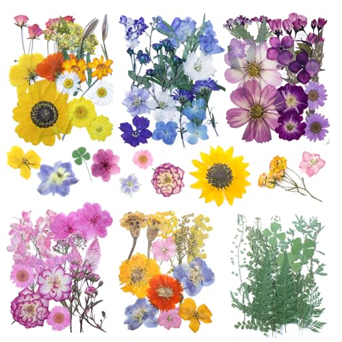 Dried Flowers for Resin, elefis 6 Packs Pressed Flowers and Leaves for Resin, Candle Making, Crafts, Nails, Scrapbooking, Epoxy Jewelry, Soap Making (Colorful A)