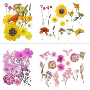 Dried Flowers for Resin, elefis 6 Packs Pressed Flowers and Leaves for Resin, Candle Making, Crafts, Nails, Scrapbooking, Epoxy Jewelry, Soap Making (Colorful A)