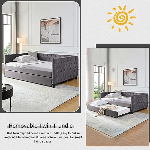 KINFFICT Full Size Daybed with Trundle, Velvet Upholstered Sofa Day Bed Frame with Botton Tufted and Nailhead Trim, Furniture for Living Room, Bedroom, Guestroom, No Box Spring Needed