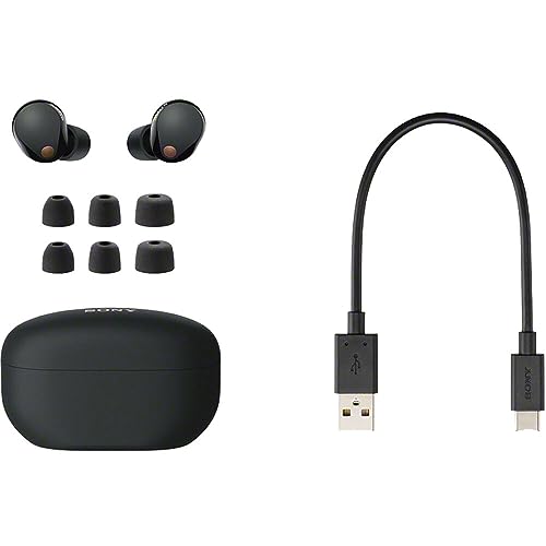 Sony WF-1000XM5 Noise Canceling Truly Wireless Earbuds (Black) Bundle with 2 YR CPS Enhanced Protection Pack and Audio Essentials Software