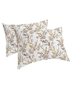 edwiinsa brown flower leaves pillow covers standard size set of 2 bed pillow, watercolor vintage plant herb plush soft comfort for hair/skin cooling pillowcases with envelop closure 20x26 inches