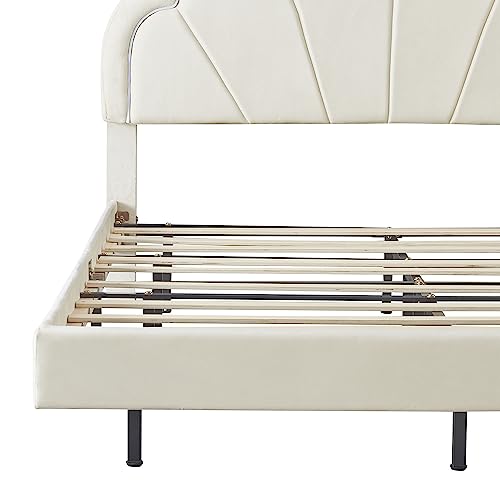 Harper & Bright Designs Upholstered Platform Bed, Queen Size LED Floating Velvet Wood Bed Frame with Elegant Flowers Velvet Headboard, Wood Slat Support, No Box Spring Needed, Easy Assembly (Beige)