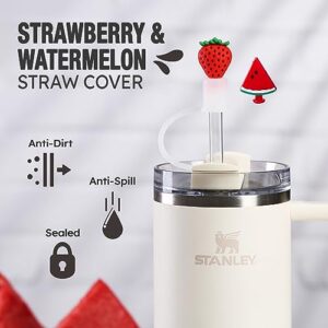 2 Pcs of Silicone Cup Boot with Straw Cover for Stanley Cup Accessories, Silicone Base Water Bottle Bottom Sleeve for 40 oz 30 oz Tumbler Hydro Flask (Watermelon and Strawberry Silicon Boot)