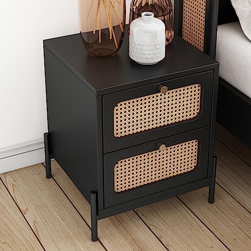 Modern 2-Drawer Nightstand Side Table End Table,Cannage Rattan Wood Closet for Bedroom, Living Room, Entryway, Hallway (Black+Rattan2)