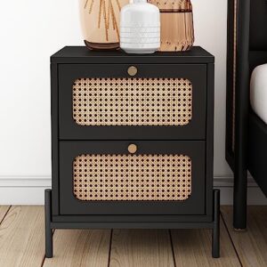 Modern 2-Drawer Nightstand Side Table End Table,Cannage Rattan Wood Closet for Bedroom, Living Room, Entryway, Hallway (Black+Rattan2)