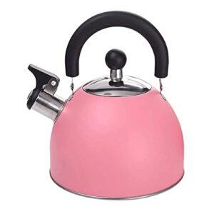 practical teakettle creative kettle stainless steel teapot, whistle kettle, fast heating tea kettles large capacity household kettle 2.5l portable