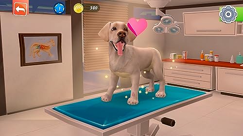 Animal Hospital (PS4)